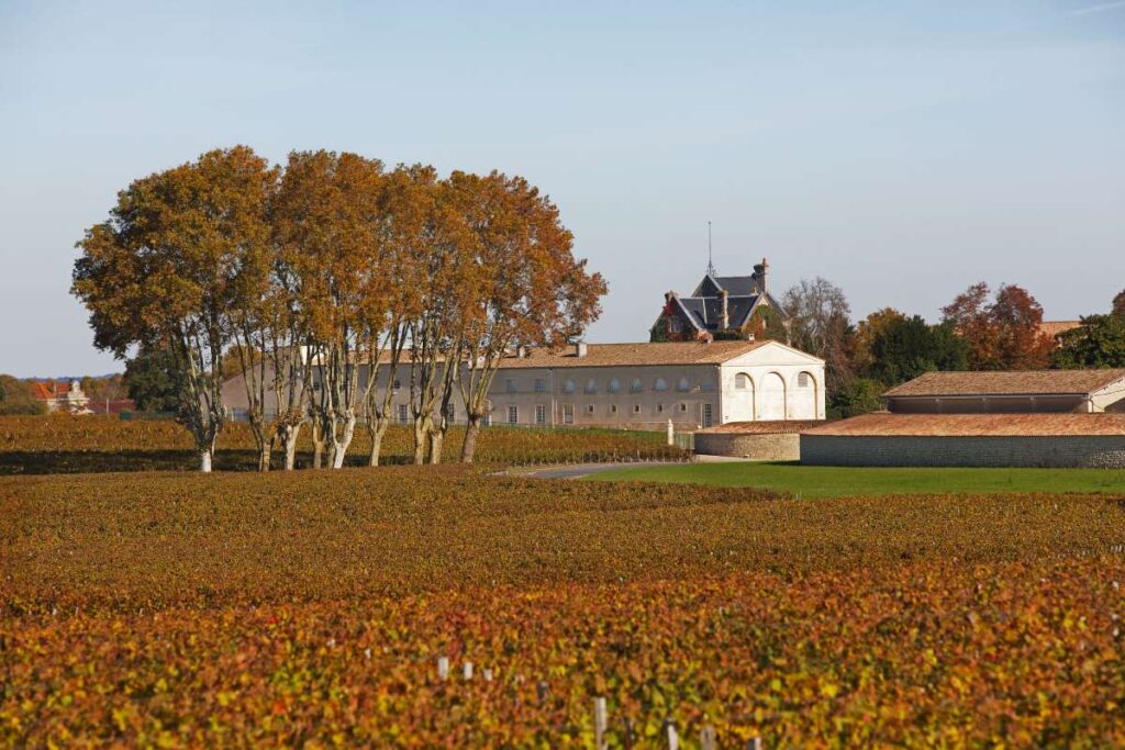 Mouton Rothschild Vineyard